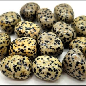 Pierre Roulée – Jaspe Dalmatien A (Vente à l’unité)